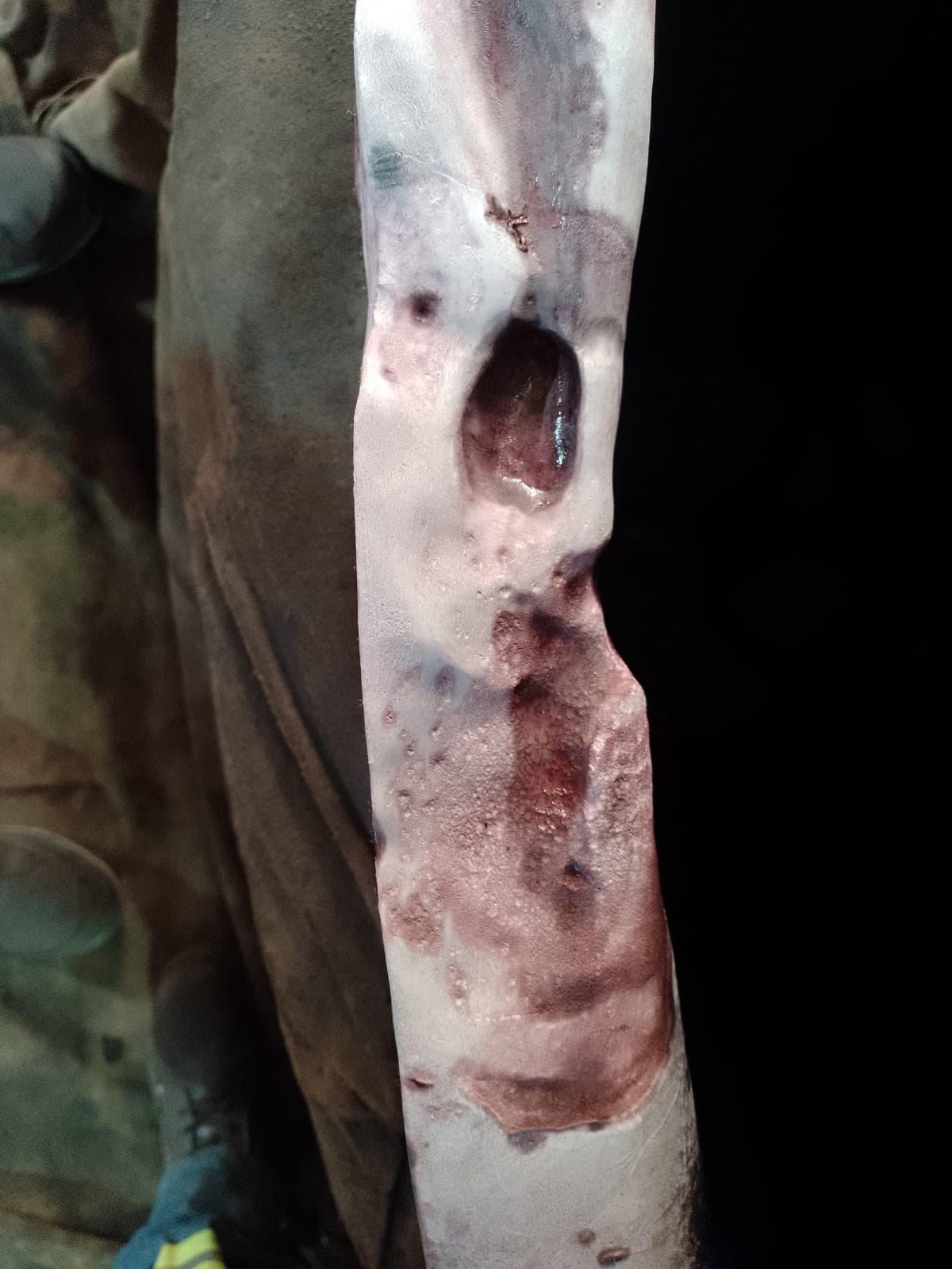 Case study image 3
