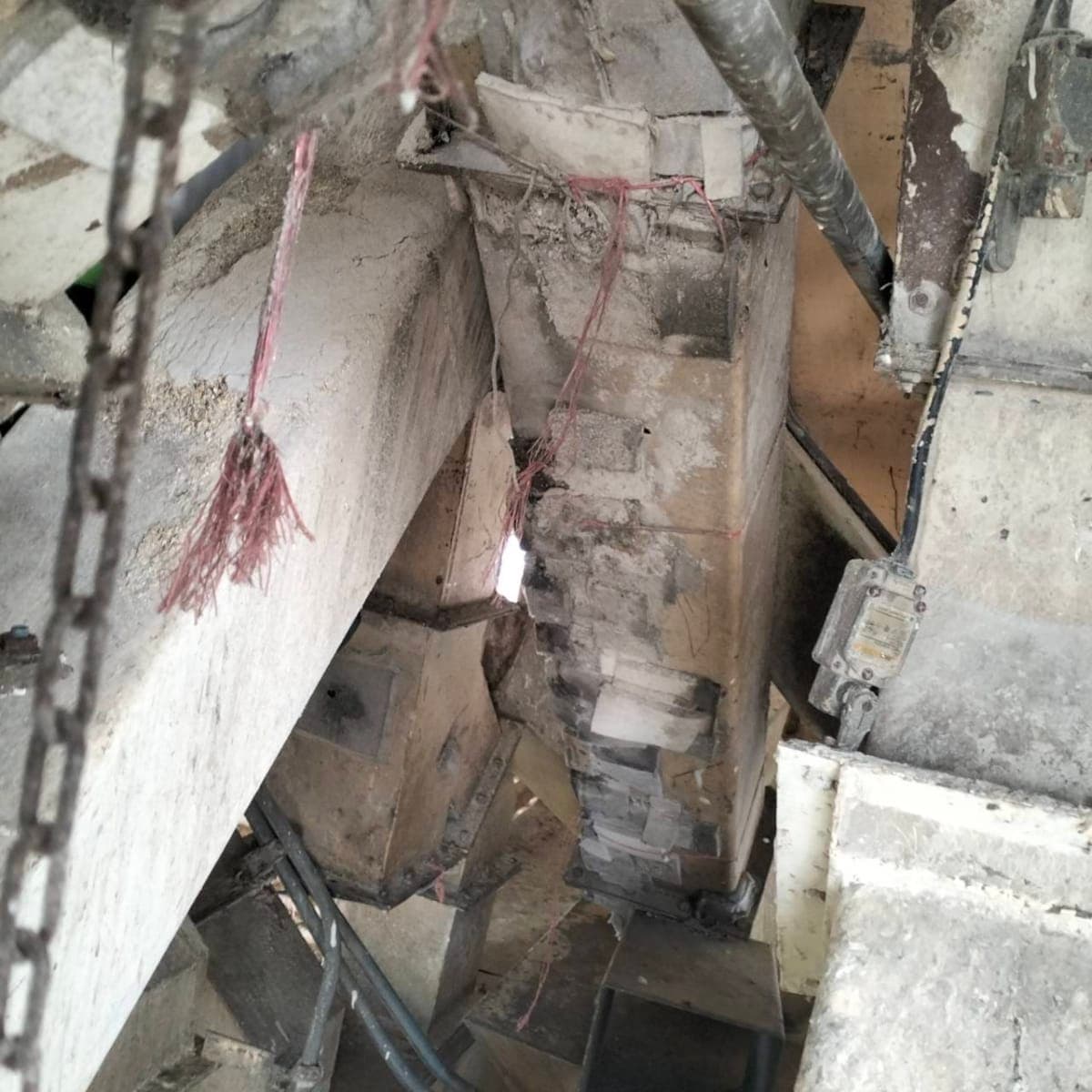 Case study image 6