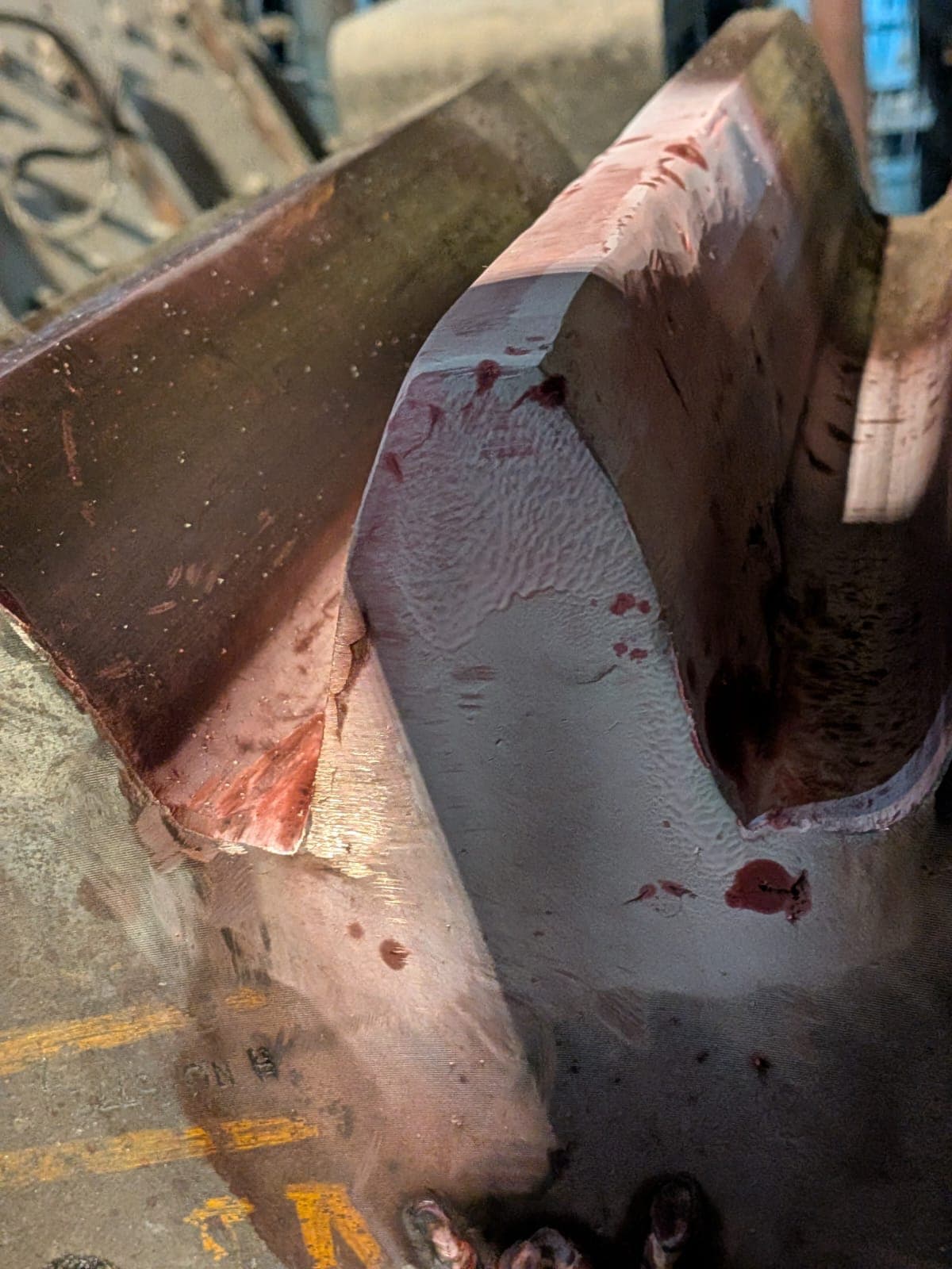 Case study image 7
